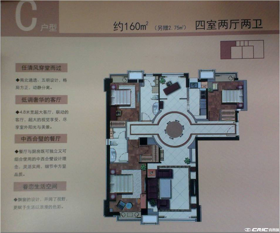 C户型图