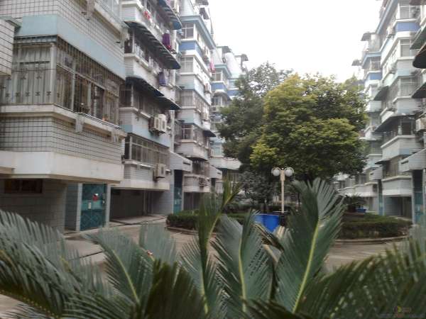 《岳家嘴电信小区低价两房》《双地铁口》《两证五年低税》 武汉二手